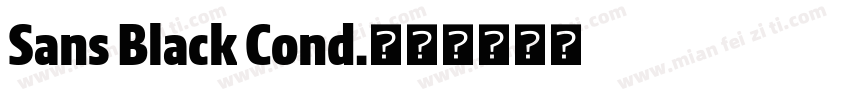 Sans Black Cond.字体转换
